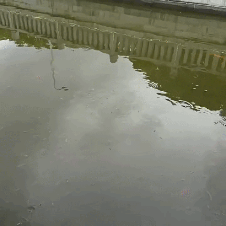 Fiskeglasögon – Se vad andra missar