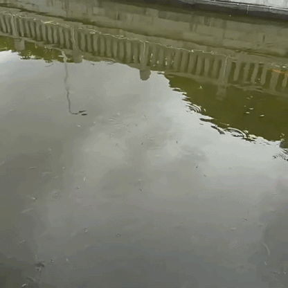 Fiskeglasögon – Se vad andra missar